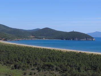 Maremma