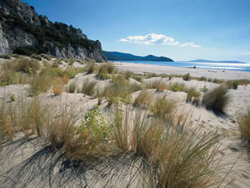 Maremma